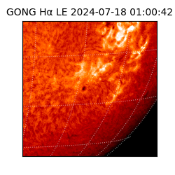 gong - 2024-07-18T01:00:42