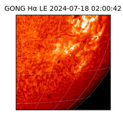 gong - 2024-07-18T02:00:42