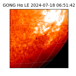 gong - 2024-07-18T06:51:42