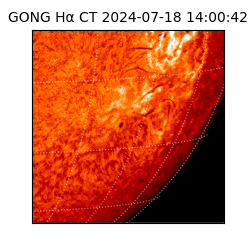 gong - 2024-07-18T14:00:42