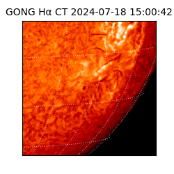 gong - 2024-07-18T15:00:42