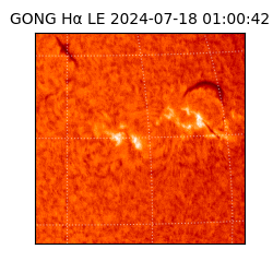 gong - 2024-07-18T01:00:42