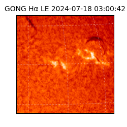 gong - 2024-07-18T03:00:42