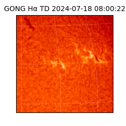 gong - 2024-07-18T08:00:22