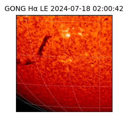 gong - 2024-07-18T02:00:42