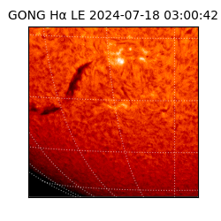 gong - 2024-07-18T03:00:42