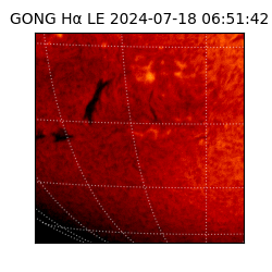 gong - 2024-07-18T06:51:42