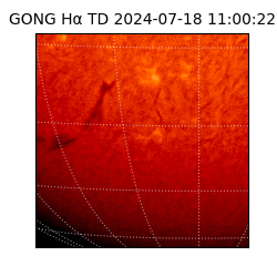 gong - 2024-07-18T11:00:22