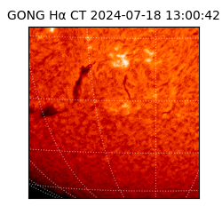 gong - 2024-07-18T13:00:42