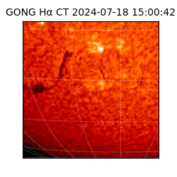 gong - 2024-07-18T15:00:42