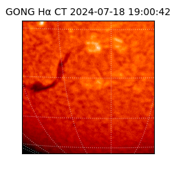 gong - 2024-07-18T19:00:42