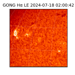 gong - 2024-07-18T02:00:42