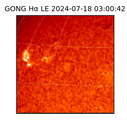 gong - 2024-07-18T03:00:42