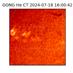 gong - 2024-07-18T16:00:42