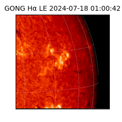 gong - 2024-07-18T01:00:42