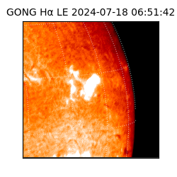 gong - 2024-07-18T06:51:42