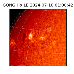 gong - 2024-07-18T01:00:42