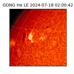 gong - 2024-07-18T02:00:42