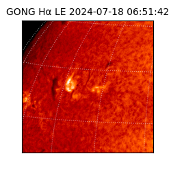 gong - 2024-07-18T06:51:42