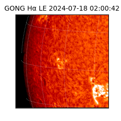 gong - 2024-07-18T02:00:42