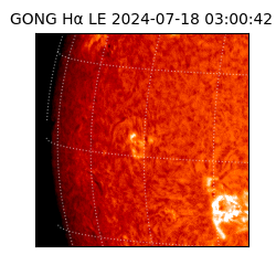 gong - 2024-07-18T03:00:42