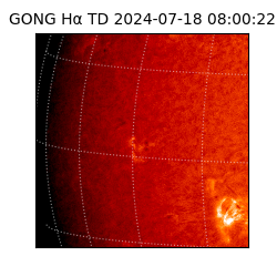 gong - 2024-07-18T08:00:22