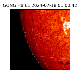 gong - 2024-07-18T01:00:42