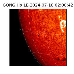 gong - 2024-07-18T02:00:42