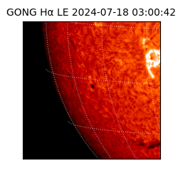 gong - 2024-07-18T03:00:42