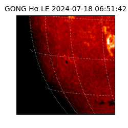 gong - 2024-07-18T06:51:42