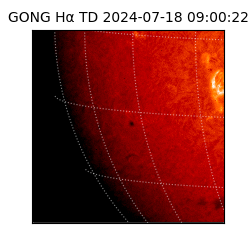 gong - 2024-07-18T09:00:22