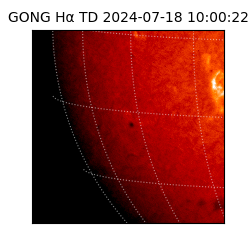 gong - 2024-07-18T10:00:22