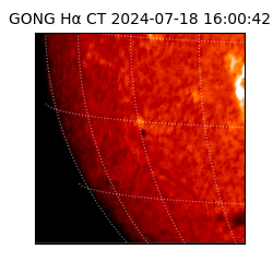 gong - 2024-07-18T16:00:42