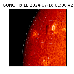 gong - 2024-07-18T01:00:42