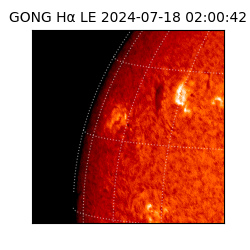 gong - 2024-07-18T02:00:42