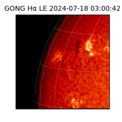 gong - 2024-07-18T03:00:42