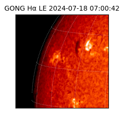 gong - 2024-07-18T07:00:42