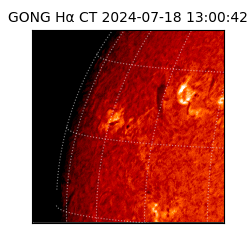 gong - 2024-07-18T13:00:42