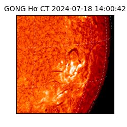 gong - 2024-07-18T14:00:42