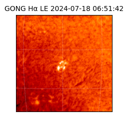 gong - 2024-07-18T06:51:42