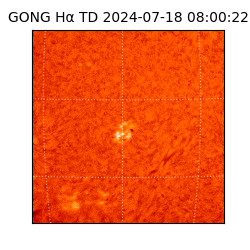 gong - 2024-07-18T08:00:22