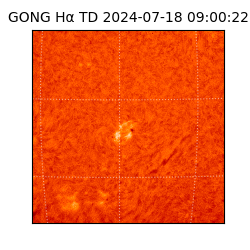 gong - 2024-07-18T09:00:22