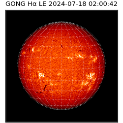 gong - 2024-07-18T02:00:42