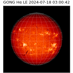 gong - 2024-07-18T03:00:42