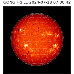 gong - 2024-07-18T07:00:42