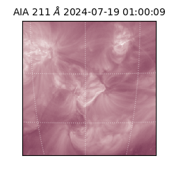 saia - 2024-07-19T01:00:09.632000