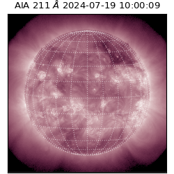 saia - 2024-07-19T10:00:09.633000