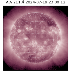 saia - 2024-07-19T23:00:12.799000