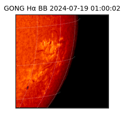 gong - 2024-07-19T01:00:02