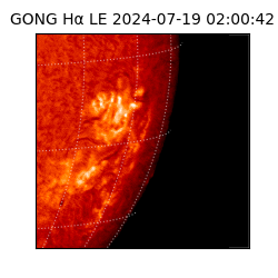 gong - 2024-07-19T02:00:42